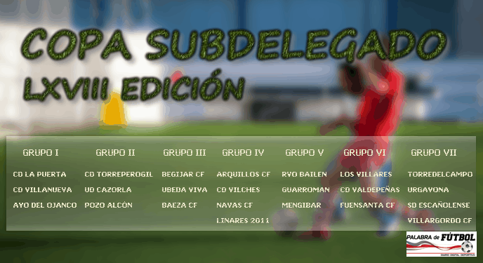 Copa Subdelegado